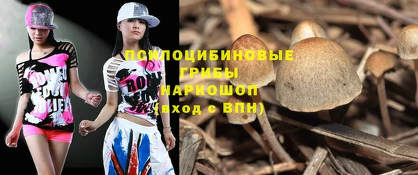 бутират Нягань
