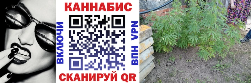 Каннабис THC 21%  где купить наркоту  Торжок 